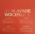 Виниловая пластинка Skunk Anansie – Wonderlustre (180 Gram Colored Vinyl 2LP) фото 6