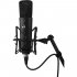 Студийный микрофон Warm Audio WA-87 R2B фото 5