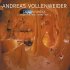 Виниловая пластинка Andreas Vollenweider - Caverna Magica (BlackVinyl LP) фото 1