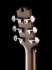 Акустическая гитара NewTone RGASDB фото 3