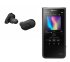 Комплект персонального аудио Sony Walkman NW-ZX507 black + WF-1000XM3 black фото 1
