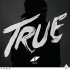 Виниловая пластинка Avicii, True (Gatefold) фото 1