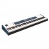 Клавишный инструмент Dexibell VIVO S7 Pro фото 1