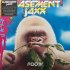 Виниловая пластинка Basement Jaxx - Rooty (Limited Pink/Blue Vinyl 2LP) фото 1