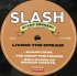 Виниловая пластинка WM Slash Living The Dream (180 Gram Black Vinyl/Gatefold) фото 9