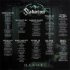 Виниловая пластинка Sabaton - Heroes Black Vinyl фото 7