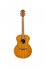 Гитара акустическая Sevillia DS-300 TY фото 1