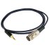Межкомпонентный кабель Naim Interconnect Standard 3.5mm Jack to 5 Pin DIN 1.25m фото 1