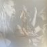 Виниловая пластинка Behemoth — MESSE NOIRE (SILVER VINYL) (2LP) фото 19