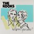 Виниловая пластинка The Kooks, Hello, Whats Your Name? фото 1
