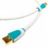 USB кабель Chord Company USB SilverPlus 5.0m фото 1