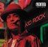 Виниловая пластинка Kid Rock DEVIL WITHOUT A CAUSE (140 Gram) фото 1