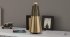 Компактная колонка Bang & Olufsen BeoSound 2 Gold Tone фото 3