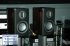 Полочная акустика Monitor Audio Platinum PL 100 rosewood фото 15