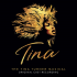 Виниловая пластинка Original Cast - The Tina Turner Musical (Black Vinyl 2LP) фото 1