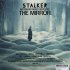 Виниловая пластинка Саундтрек - Stalker/ The Mirror (Edward Artemiev) (Black Vinyl LP) фото 4