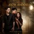 Виниловая пластинка The Twilight Saga: New Moon (Gold Vinyl 2LP) фото 1