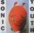 Виниловая пластинка Sonic Youth, Dirty фото 1