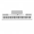 Цифровое пианино Artesia PE-88 White фото 3