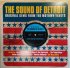 Виниловая пластинка The Sound Of Detroit ORIGINAL GEMS FROM THE MOTOWN VAULTS фото 1