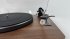 Проигрыватель винила Phaze Audio Diana MK2 Цвет: Орех [Walnut] фото 17