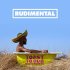 Виниловая пластинка Rudimental, Toast To Our Differences (Black Vinyl/Gatefold) фото 1