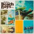 Виниловая пластинка The Beach Boys - The Many Faces of the Beach Boys (Limited/Yel&Blu) фото 1