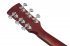 Акустическая гитара Ibanez PF15JR-OPN фото 4