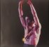 Виниловая пластинка Prince — SIGN O THE TIMES (Super Deluxe Edition/13LP+DVD/Limited Box Set/180 Gram Black Vinyl) фото 19