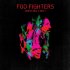 Виниловая пластинка Foo Fighters WASTING LIGHT (180 Gram) фото 1