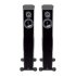 Напольная акустика Audio Physic Tempo 25 Plus (Black Ash) фото 1