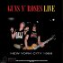 Виниловая пластинка GUNS N ROSES - LIVE IN NEW YORK CITY 1988 (YELLOW MARBLE VINYL) (LP) фото 1