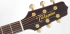 Электроакустическая гитара Takamine PRO SERIES 5 P5DC фото 3
