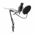 Микрофон Ritmix RDM-180 Black фото 1