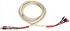Акустический кабель Black Rhodium Salsa Bi-Wire 2.5m banan фото 1