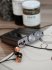 Портативный ЦАП-усилитель iFi Audio xDSD Gryphon фото 10