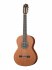 Классическая гитара Alhambra 6.807 Classical Conservatory 4P E2 фото 1