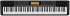 Клавишный инструмент Casio CDP-230RBK фото 1