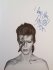 Виниловая пластинка PLG David Bowie Aladdin Sane (180 Gram/Gatefold/Remastered) фото 11