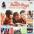 Виниловая пластинка The Beach Boys - Sounds Of Summer: The Very Best Of (Box) (Black Vinyl 6LP) фото 9