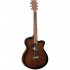 Электроакустическая гитара Tanglewood TWBB SFCE Premium Plus EQ S фото 1