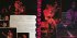 Виниловая пластинка Sony Jimi Hendrix Band Of Gypsys (180 Gram/Gatefold/+Booklet) фото 2