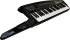 Клавишный инструмент Roland AX-Synth black фото 1