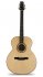 Акустическая гитара Alhambra 5.820 J-Luthier A B (кейс в комплекте) фото 1