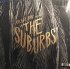 Виниловая пластинка Sony Arcade Fire The Suburbs (Gatefold) фото 2