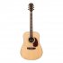 Акустическая гитара Omni D-460S фото 1