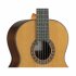 Классическая гитара Alhambra 809-5P Classical Conservatory 5P фото 5