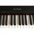 Клавишный инструмент Sai Piano P-9BK фото 4
