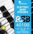 Струны для бас гитары Galli Strings RSB40100 фото 1