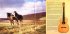 Виниловая пластинка WM Jethro Tull Heavy Horses (Steven Wilson Remix) (180 Gram) фото 11